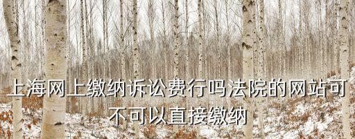 上海網上繳納訴訟費行嗎法院的網站可不可以直接繳納