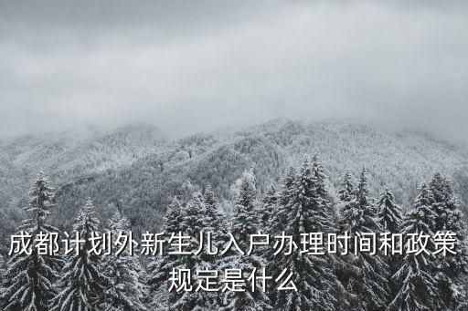 成都計(jì)劃外新生兒入戶辦理時(shí)間和政策規(guī)定是什么