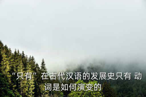 “只有”在古代漢語的發展史只有 動詞是如何演變的