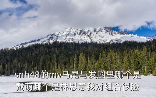 馬尾與發圈，snh48馬尾與發圈這幾個女孩子都是誰