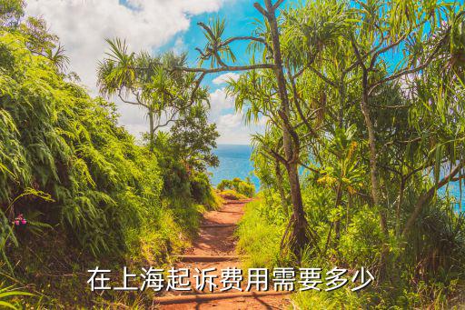 在上海起訴費(fèi)用需要多少