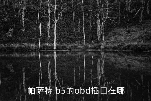 帕薩特b5,帕薩特b5怎么開?