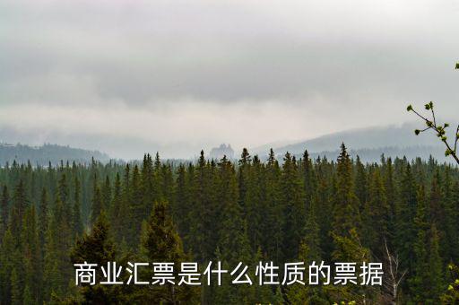 商業匯票是什么，我們所說的匯票是商業匯票還是銀行匯票啊