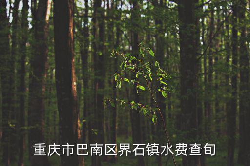 重慶市巴南區(qū)界石鎮(zhèn)水費(fèi)查旬