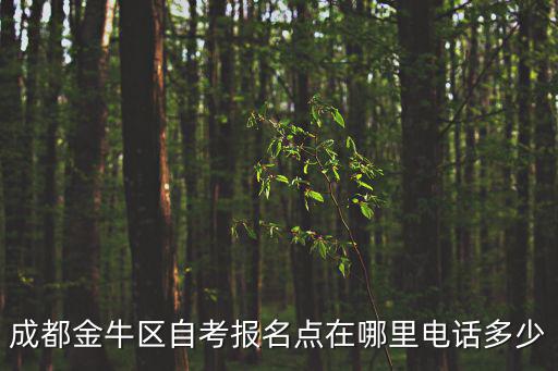 成都金牛區自考報名點在哪里電話多少