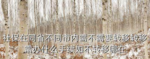 社保在同省不同市內需不需要轉移轉移需辦什么手續如不轉移哪在