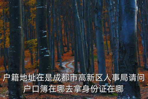 戶籍地址在是成都市高新區人事局請問戶口簿在哪去拿身份證在哪