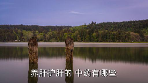 保肝護(hù)肝的中藥,中藥可入肝經(jīng)起到疏肝理氣等作用