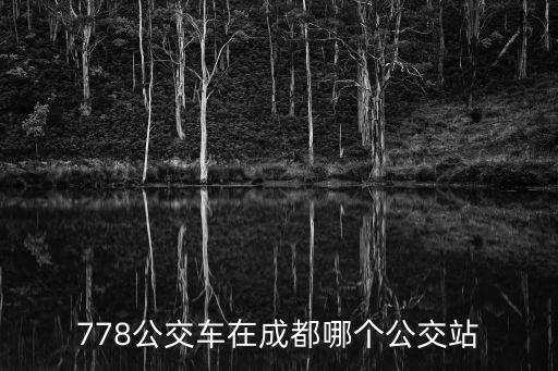 778公交車在成都哪個公交站