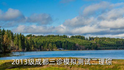 成都市三診試卷理科，誰知道2010成都三診數(shù)學答案