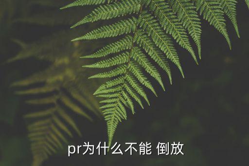 pr怎么倒放,簡(jiǎn)單易用國(guó)產(chǎn)視頻剪輯軟件:倒放就行