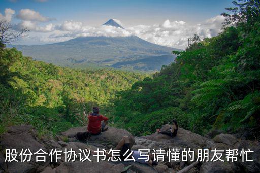 股份合作協議書怎么寫請懂的朋友幫忙
