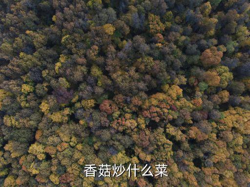 香菇炒什么好吃,香菇有什么煎法?先別急著下鍋!