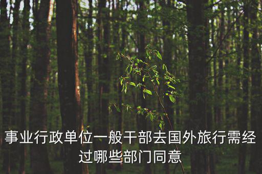 成都市規(guī)定行政事業(yè)單位跨區(qū)域旅游，事業(yè)行政單位一般干部去國外旅行需經(jīng)過哪些部門同意