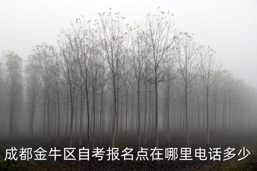 成都金牛區自考報名點在哪里電話多少
