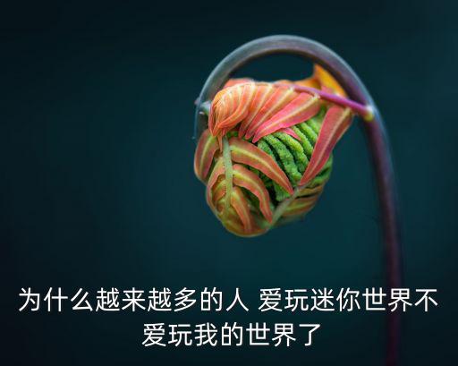 為什么越來越多的人 愛玩迷你世界不 愛玩我的世界了