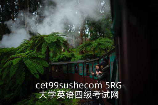 cet99sushecom 5RG大學(xué)英語四級(jí)考試網(wǎng)