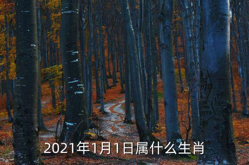 2021年生肖，2021年1月1日屬什么生肖