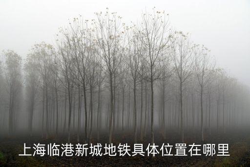 上海臨港新城地鐵具體位置在哪里