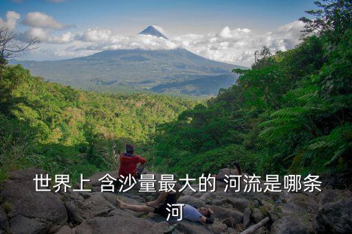  世界上 含沙量最大的 河流是哪條河