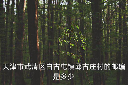 天津市武清區(qū)白古屯鎮(zhèn)邱古莊村的郵編是多少