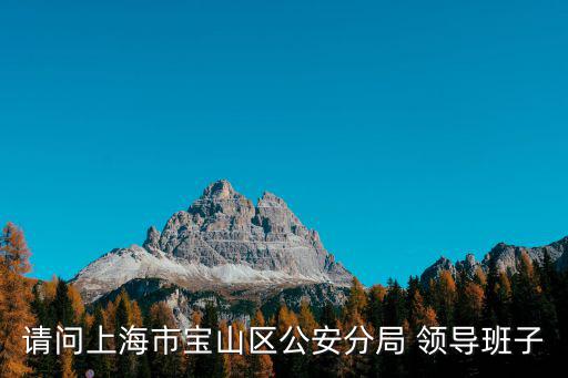 請問上海市寶山區公安分局 領導班子