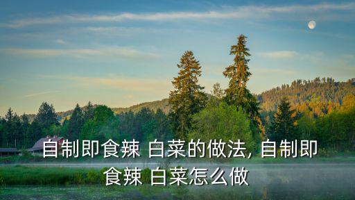  自制即食辣 白菜的做法, 自制即食辣 白菜怎么做