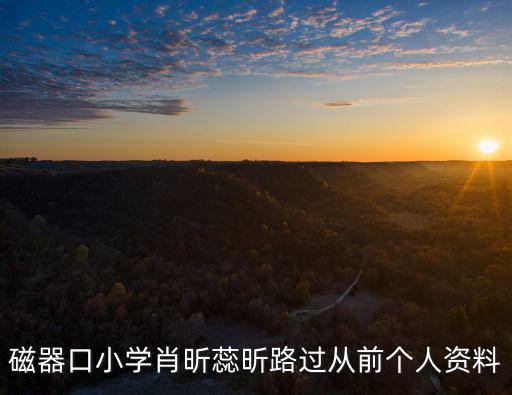 磁器口小學肖昕蕊昕路過從前個人資料