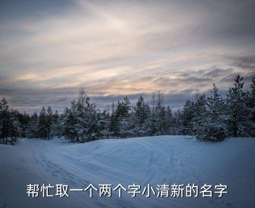 幫忙取一個兩個字小清新的名字