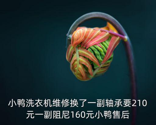 小鴨洗衣機維修換了一副軸承要210元一副阻尼160元小鴨售后