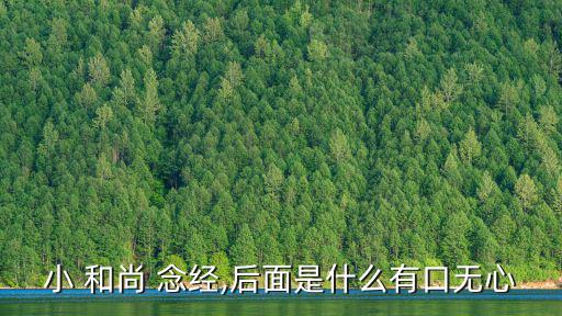 小和尚念經(jīng),有口無(wú)心小和尚念經(jīng)歇后語(yǔ):別把時(shí)間當(dāng)垃圾