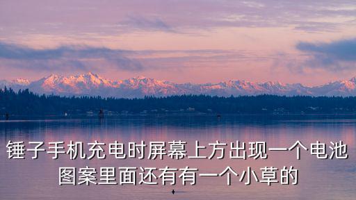 錘子手機(jī)充電時(shí)屏幕上方出現(xiàn)一個(gè)電池圖案里面還有有一個(gè)小草的