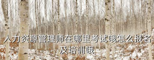 人力資源管理師在哪里考試哦怎么報名及培訓哦