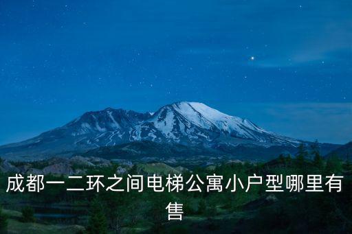 成都一二環之間電梯公寓小戶型哪里有售