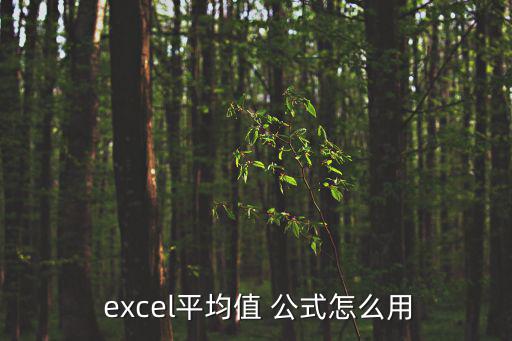  excel平均值 公式怎么用