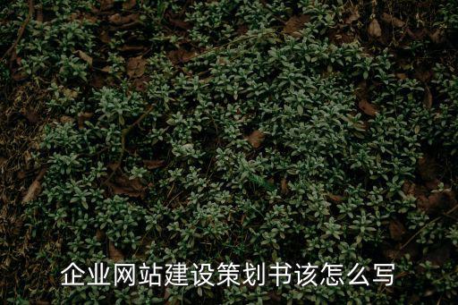企業(yè)網(wǎng)站策劃，企業(yè)網(wǎng)站建設(shè)策劃書(shū)該怎么寫(xiě)