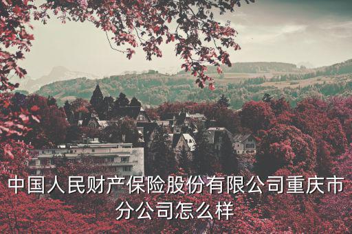 中國人民財產保險股份有限公司重慶市分公司怎么樣