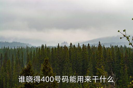 誰曉得400號碼能用來干什么