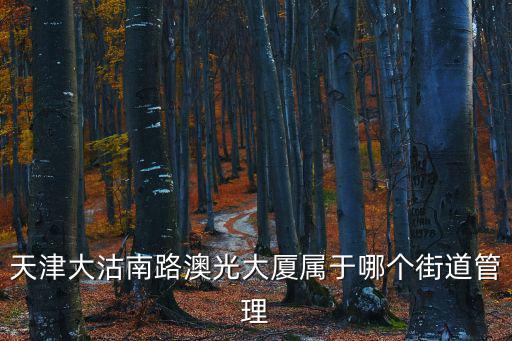 天津大沽南路澳光大廈屬于哪個街道管理