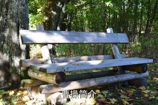 曹操簡介