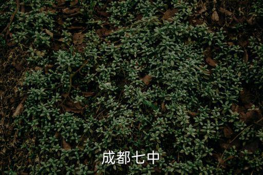 成都市第七中學  聯辦，成都七中育才新校區