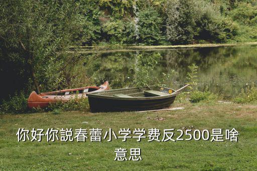 你好你説春蕾小學學費反2500是啥意思