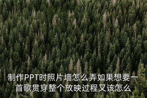制作PPT時(shí)照片墻怎么弄如果想要一首歌貫穿整個(gè)放映過程又該怎么