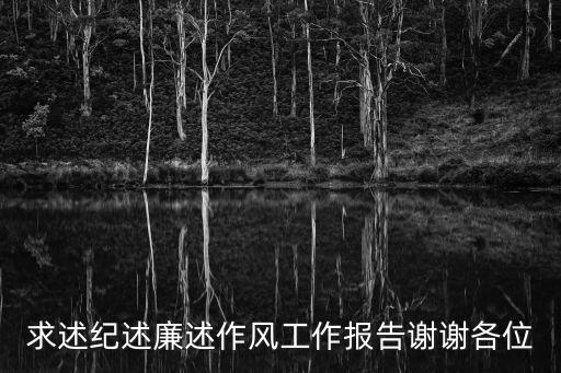 求述紀述廉述作風工作報告謝謝各位