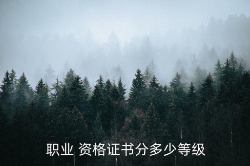 國家職業資格二級,國家職業資格證書將在今年9月公布