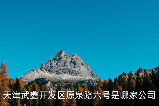 天津武鑫開(kāi)發(fā)區(qū)原泉路六號(hào)是哪家公司