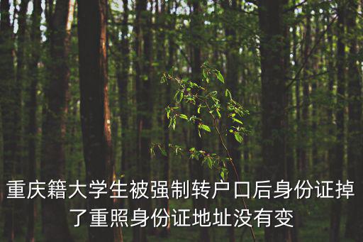 重慶籍大學生被強制轉戶口后身份證掉了重照身份證地址沒有變