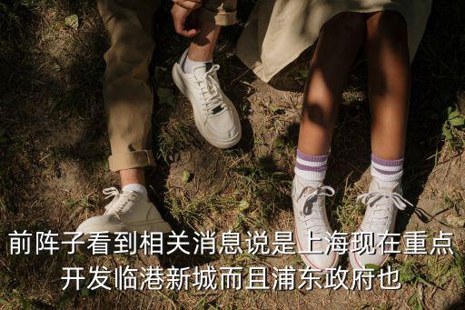 前陣子看到相關(guān)消息說是上海現(xiàn)在重點開發(fā)臨港新城而且浦東政府也