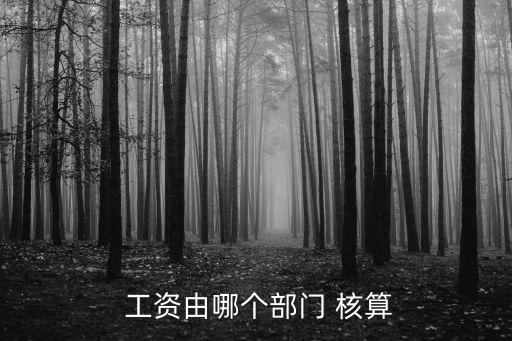 工資核算,勞動法中沒有規定核算工資應該分配到哪個部門