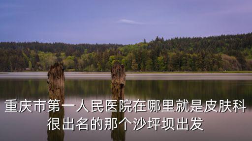重慶市第一醫院東院區，重慶市第一人民醫院在哪里就是皮膚科很出名的那個沙坪壩出發